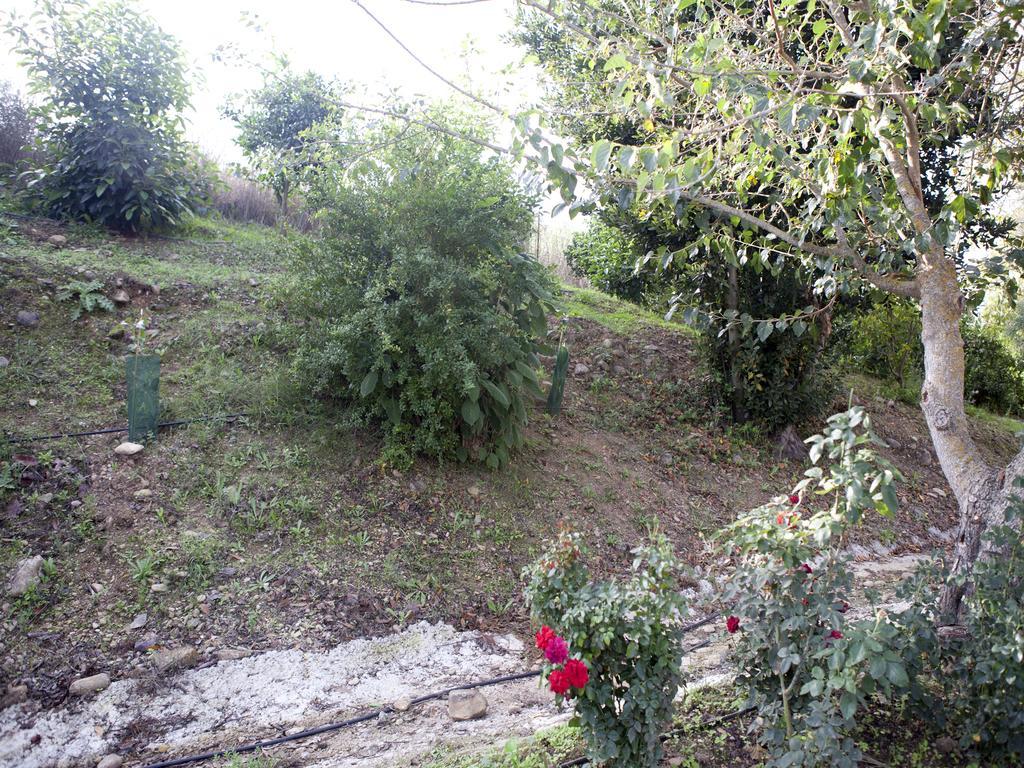 Casa Rural Vega El Dorado San Pablo Exteriér fotografie